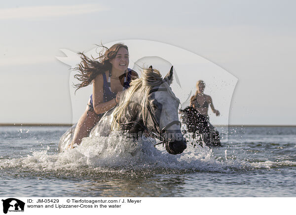 woman and Lipizzaner-Cross in the water / JM-05429