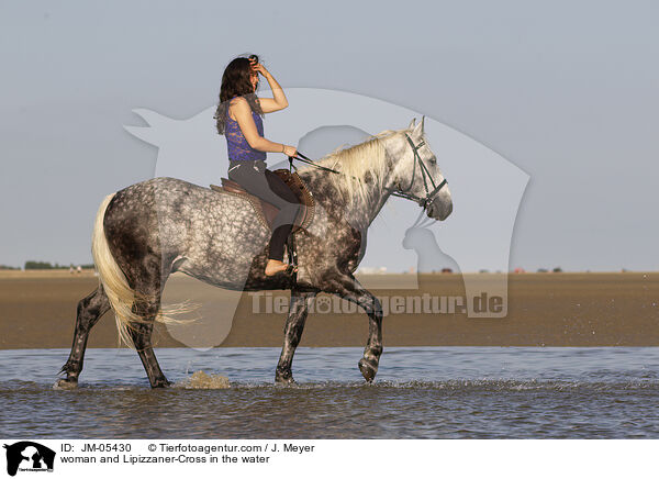 woman and Lipizzaner-Cross in the water / JM-05430