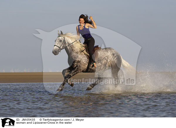 woman and Lipizzaner-Cross in the water / JM-05435