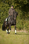 woman rides warmblood