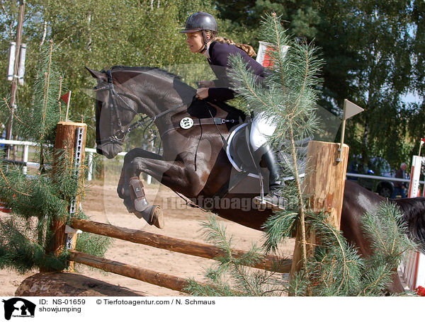 showjumping / NS-01659