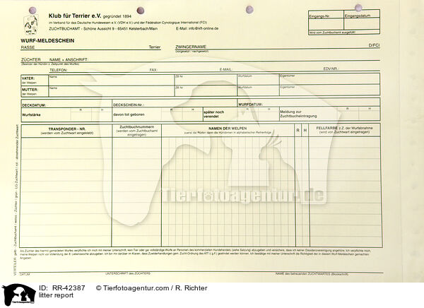 Wurfmeldeschein / litter report / RR-42387