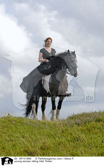 young woman riding Irish Tinker / AP-01888