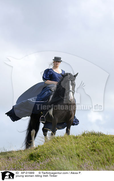 young woman riding Irish Tinker / AP-01889