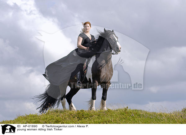 young woman riding Irish Tinker / AP-01890