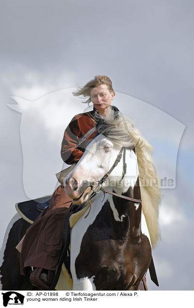 young woman riding Irish Tinker / AP-01898