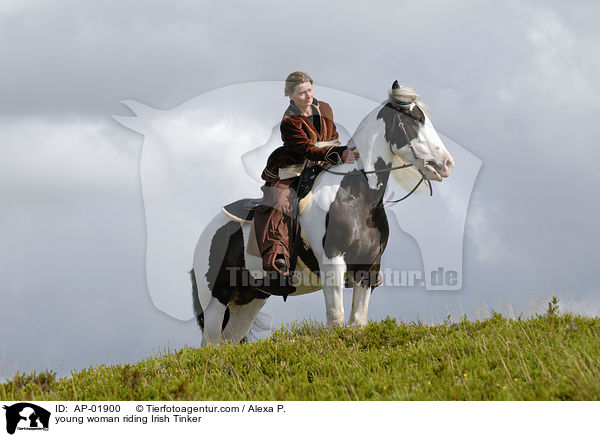 junge Frau mit Irish Tinker / young woman riding Irish Tinker / AP-01900