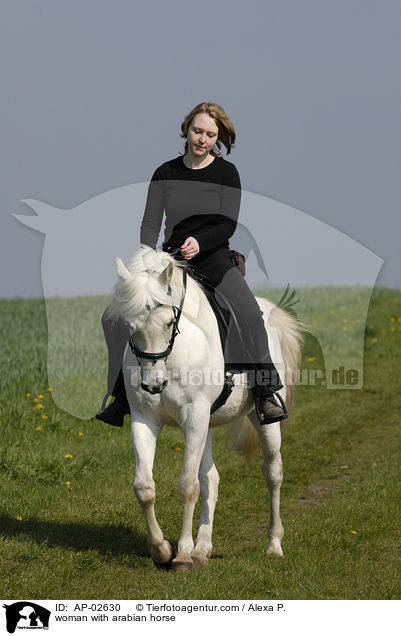 woman with arabian horse / AP-02630