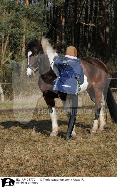 climbing a horse / AP-04772