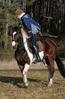 climbing a horse