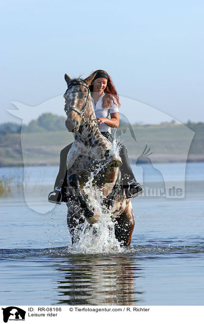 Pferd steigt auf Kommando / Leisure rider / RR-08166