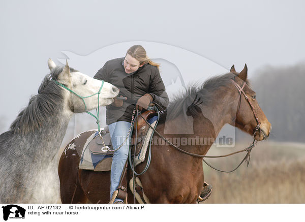 riding with near horse / AP-02132