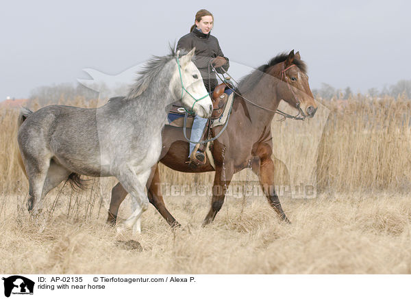 riding with near horse / AP-02135