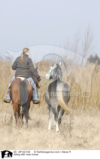 riding with near horse / AP-02136