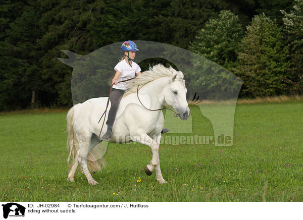 riding without saddle / JH-02984