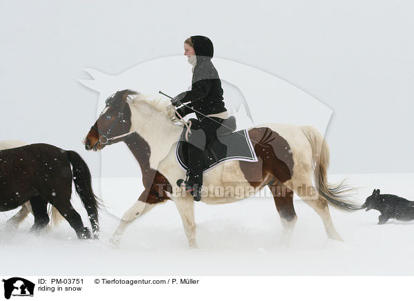 reiten im Schnee / riding in snow / PM-03751