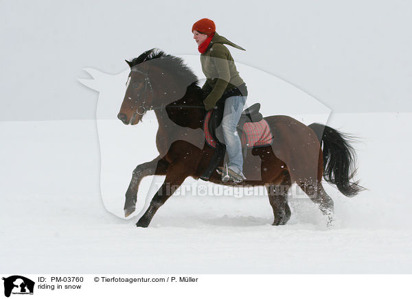 riding in snow / PM-03760