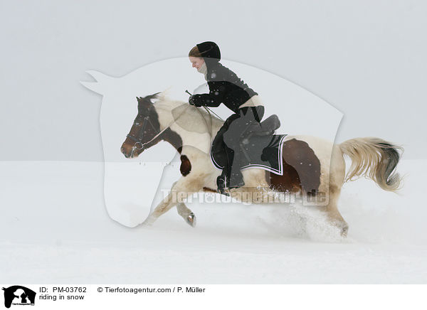 riding in snow / PM-03762