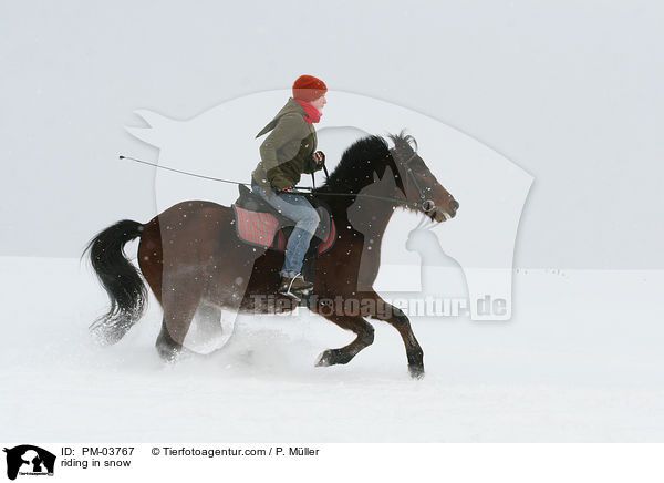 riding in snow / PM-03767