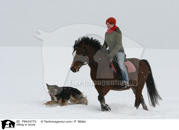 riding in snow / PM-03770