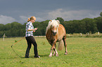 woman with Haflinger horse