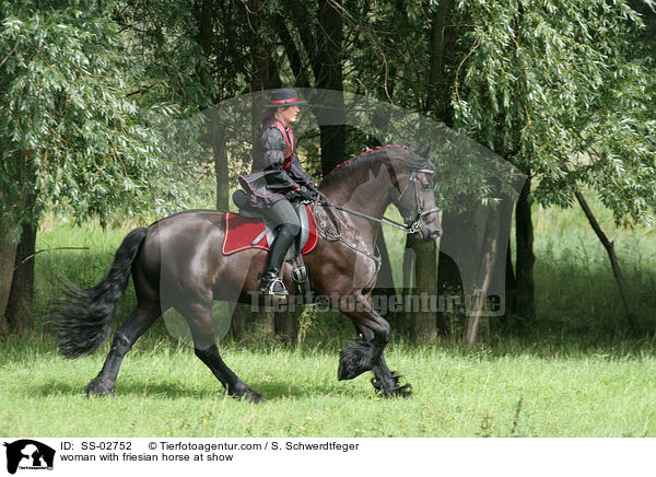 woman with friesian horse at show / SS-02752