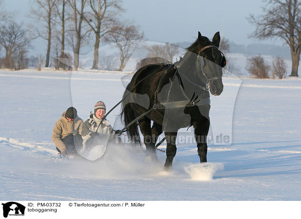 tobogganing / PM-03732