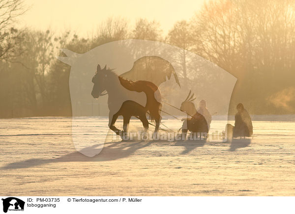 Schlittenfahren / tobogganing / PM-03735