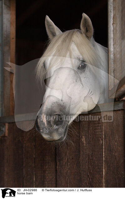 horse barn / JH-02986