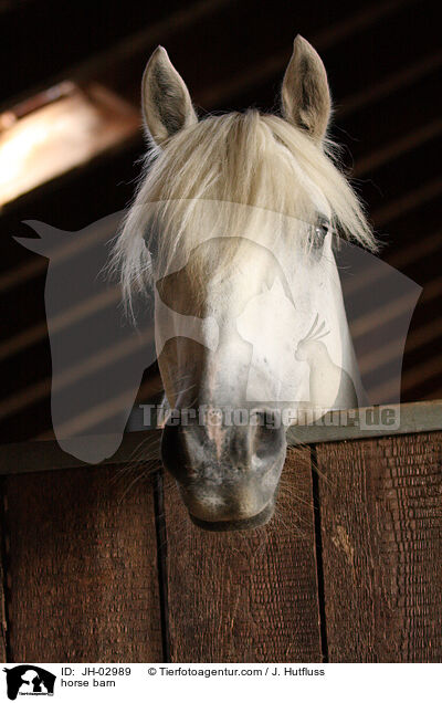 horse barn / JH-02989