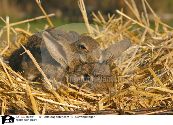 Kaninchen mit Jungem / rabbit with baby / SS-00661