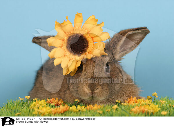 braunes Kaninchen mit Blume / brown bunny with flower / SS-14027