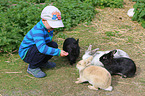 child is feeding rabbits