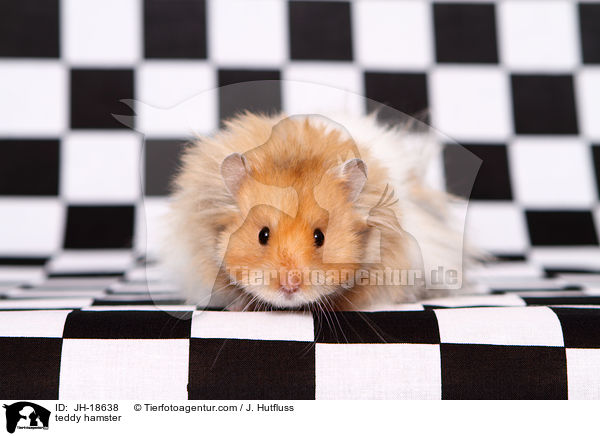 Teddyhamster / teddy hamster / JH-18638