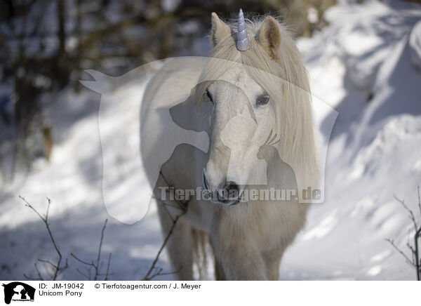 Einhorn Pony / Unicorn Pony / JM-19042