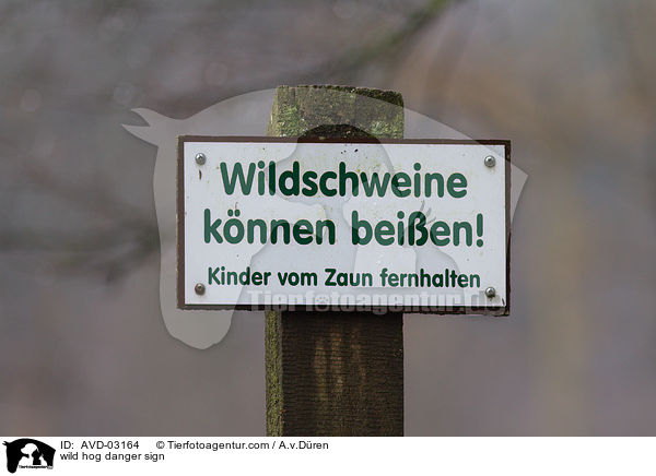 wild hog danger sign / AVD-03164