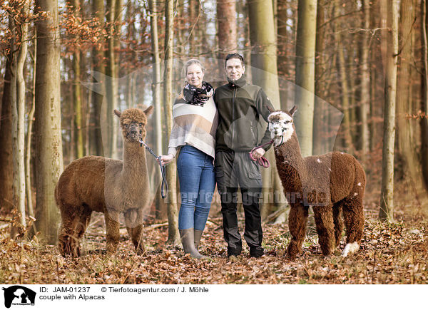 couple with Alpacas / JAM-01237